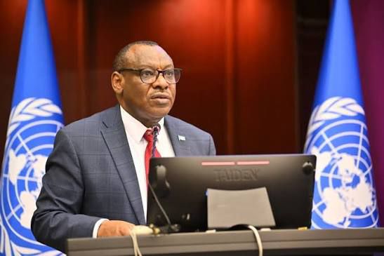 African Nations Pressed To Fund Their Own Digital Infrastructure Using Local Resources