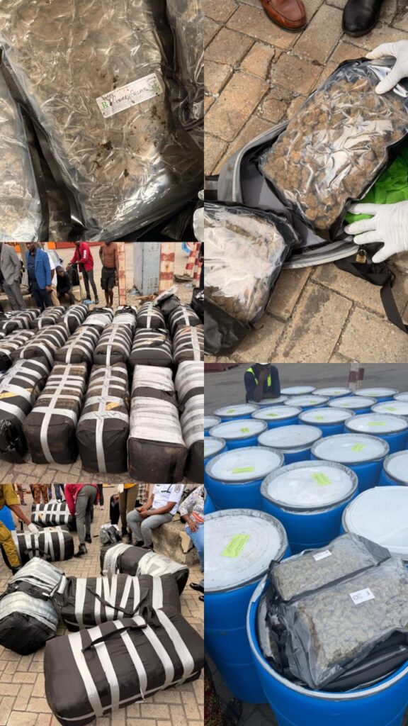 Apapa Customs Seizes 1.8 Tons of Cannabis and ₦12.78 Billion in Expired Medicine Imports